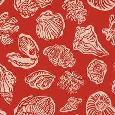 red and white sea shells on a red background