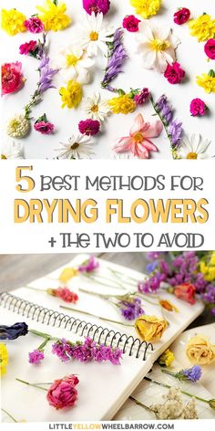 flowers and notebooks with the title 5 best method for drying flowers + he two to avoid