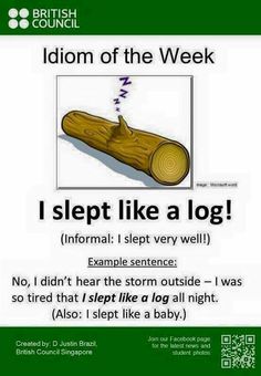 a poster with the words i slept like a log in english and an image of a wooden