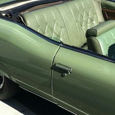 a dog sitting in the back seat of a green car