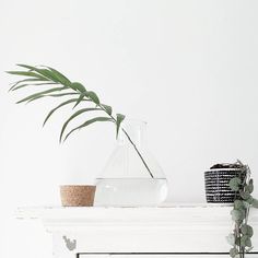 a potted plant sitting on top of a white mantle next to a glass vase