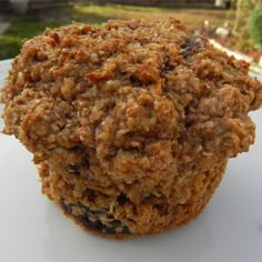 an oatmeal muffin sitting on top of a white plate next to a tree