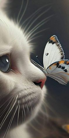 a close up of a cat with a butterfly on its nose