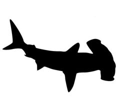 a black and white silhouette of a shark