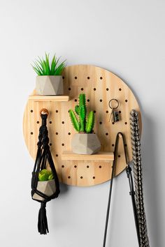 a wall mounted shelf with two potted plants on it and other accessories hanging from the hooks