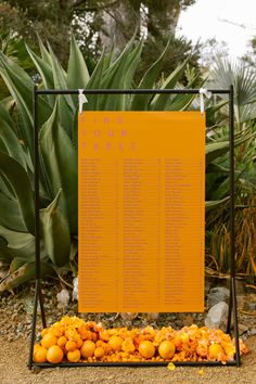 an orange sign sitting on top of a dirt ground next to plants and rocks with writing on it