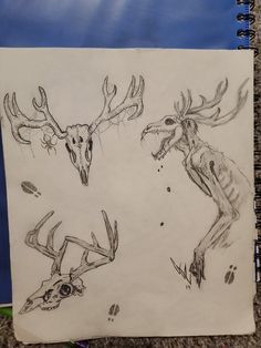 some drawings of deer heads and antlers on a piece of paper