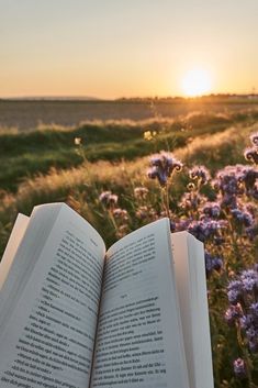 an open book sitting in the middle of a field with purple flowers and grass at sunset