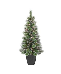 a potted christmas tree with lights on it