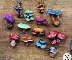 there are many different colored mushrooms on the table