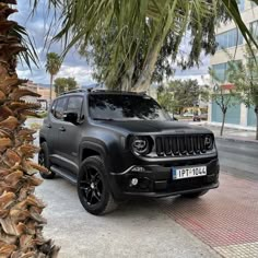 a black jeep parked next to a palm tree