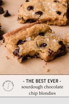 the best ever sourdough chocolate chip blondies