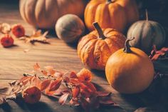 size: 12x8in Photographic Print: Pumpkins for Thanksgiving on Wooden Background by Brebca : Maple Tree Landscape, Thanksgiving Puns, Easy Fall Dinners, Thanksgiving Background, Thanksgiving Color, Cool Autumn, Thanksgiving Traditions, Thanksgiving Table Settings, Thanksgiving Feast