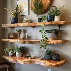 three wooden shelves filled with plants and potted plants