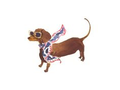 a brown dog wearing sunglasses and a bandanna around it's neck is standing in front of a white background