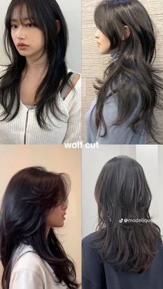 Long Layered Hair Japanese, Anime Haircut Women Long Hair, Korean Face Framing Hair, Hush Cut Hair Medium Chubby Face, Long Layered Hair Asian, Wolf Cut Medium Length, Korean Long Layered Haircut, Anime Haircuts Women