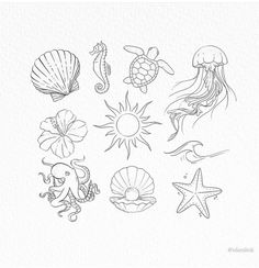 an ink drawing of sea animals and seashells