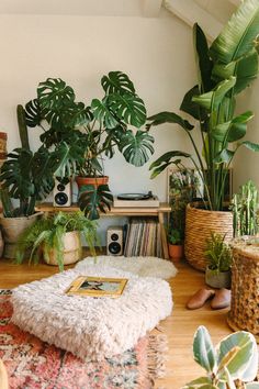 a living room filled with lots of potted plants on top of a wooden floor