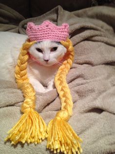 a white cat wearing a yellow and pink hat with braids on it's head