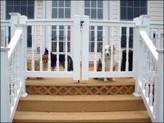 three dogs are sitting on the front steps of a house with white railings and doors