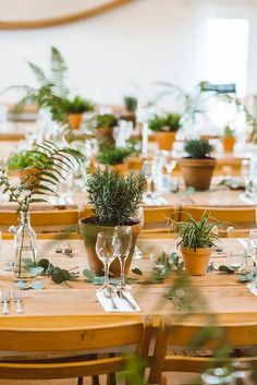 there are many potted plants on the tables at this wedding reception, and one table is set with place settings