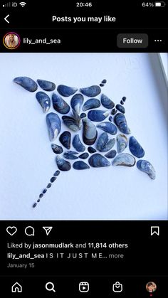 an image of a bird made out of seashells