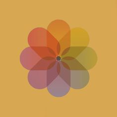 an orange and yellow background with a flower in the center, on top of it