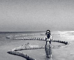 a woman is standing in the water next to large alligators that are laying on the beach