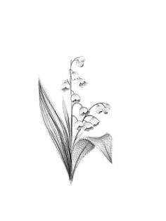 Flower Tattoo Arm, Spring Decorations, Wedding Tattoos, Art Prompts, Simplistic Tattoos, Birth Flowers, Lily Of The Valley, Tattoo Style, Anime Scenery