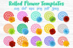 rolled flower templates with different colors and sizes