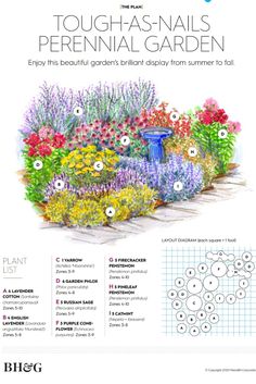 an illustrated garden with flowers and plants in the center, surrounded by words that read tough - nails perennial garden