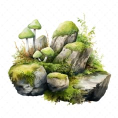 watercolor painting of mushrooms and moss growing on rocks