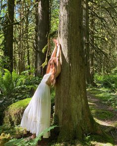 a woman standing next to a large tree in the forest with her hands on it's trunk