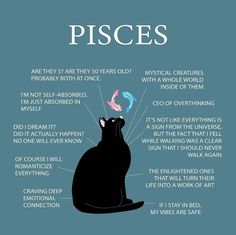 a black cat with the words pisces on it