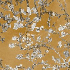 the branches of an almond tree with white flowers against a yellow background, in full bloom