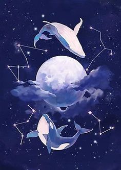 three dolphins are floating in the air with stars and clouds around them on a night sky