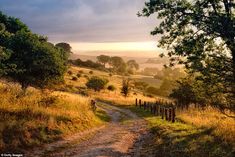 a dirt road in the middle of a grassy field with trees on both sides and sun shining through the clouds