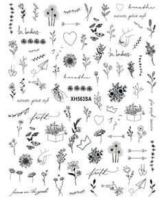 various flowers and plants drawn in ink with the word xhossa on it's side