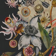 an artistic painting with flowers and leaves on black background, in the middle of which is a white flower surrounded by many other colorful objects