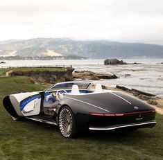 a black and white car parked on top of a lush green field next to the ocean