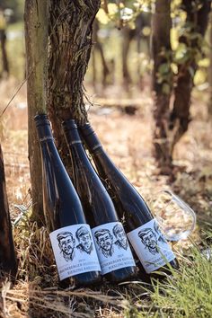 three bottles of wine sitting on the ground in front of a tree with an obama sticker on it