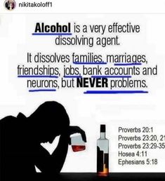 an ad for alcohol that reads alcohol is a very effective dissolving agent it dissolves families, marriages, friends, jobs, bank accounts and neurors, but never problems