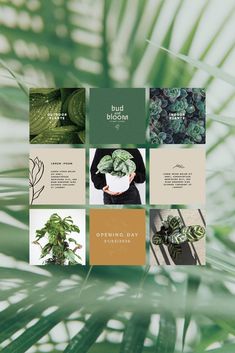 the brochure is designed to look like it has many different plants in it