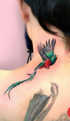 the back of a woman's neck with a colorful bird tattoo on her left side