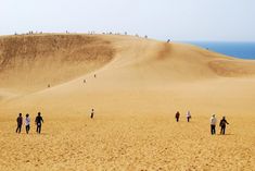 people walking on sand dunes near the ocean