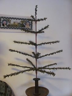 a small pine tree sitting on top of a wooden table next to a framed picture