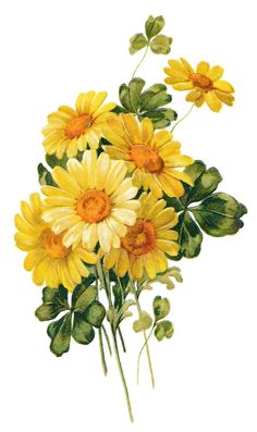 a bunch of yellow flowers with green leaves