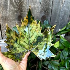 a hand holding up a green leaf in front of a wooden fence with leaves around it