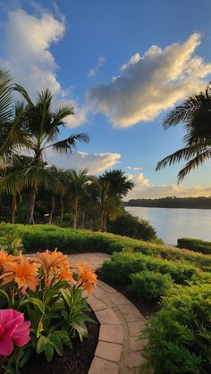 a pathway leading to the water with palm trees and flowers in the foreground at sunset