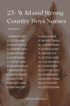 the 25 wild and strong country boys names are shown in this poster, which includes an image of a horse's head